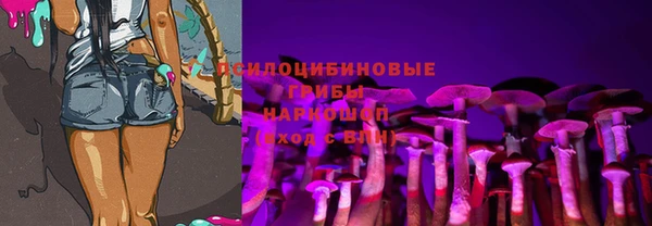 прущие крисы Дмитриев