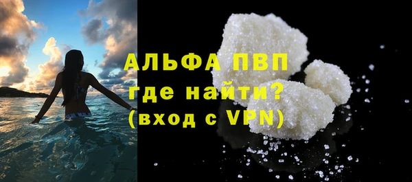 индика Елабуга