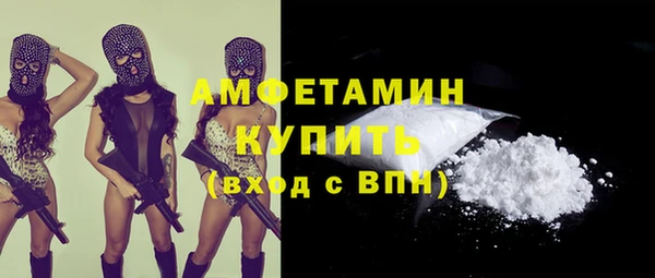 apvp Ельня