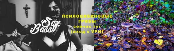 соль курить ск Гусь-Хрустальный