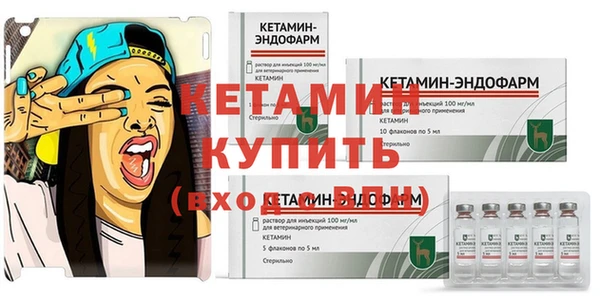 СК Дмитровск