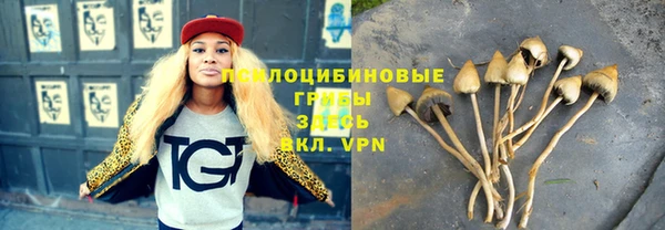 герыч Елизово