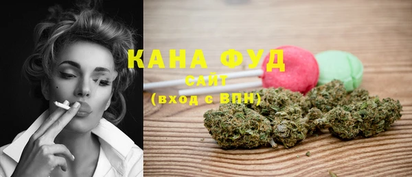 индика Елабуга