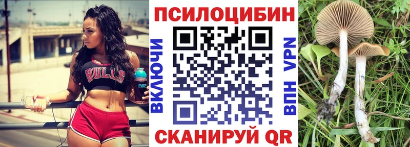 Псилоцибиновые грибы прущие грибы  Купить  Камешково 